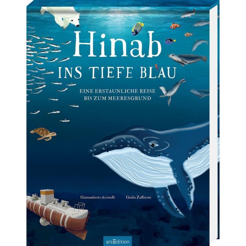 Hinab Ins Tiefe Blau - Gianumberto Accinelli, Gebunden von ars edition
