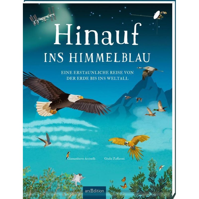 Hinauf Ins Himmelblau - Gianumberto Accinelli, Gebunden von ars edition