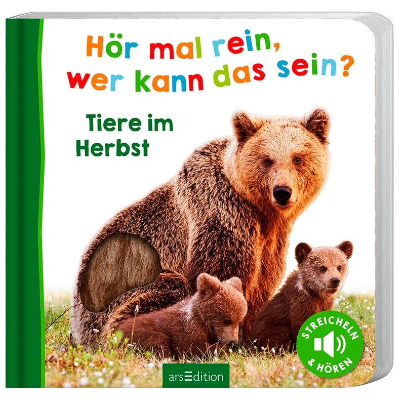 Hör Mal Rein, Wer Kann Das Sein? - Tiere Im Herbst, Pappband von ars edition