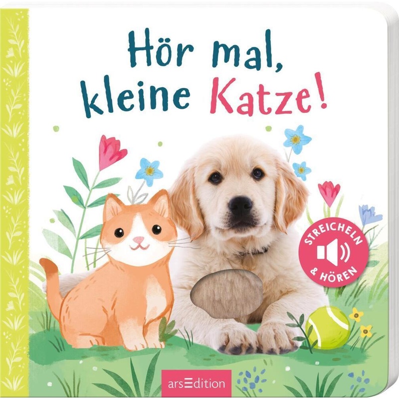 Hör Mal, Kleine Katze!, Pappband von ars edition