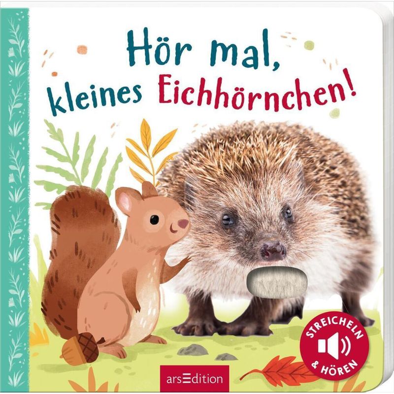 Hör Mal, Kleines Eichhörnchen!, Pappband von ars edition