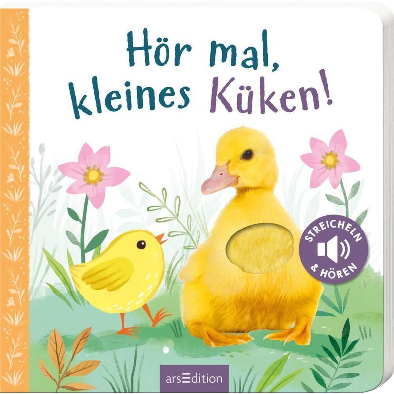 Hör Mal, Kleines Küken!, Pappband von ars edition