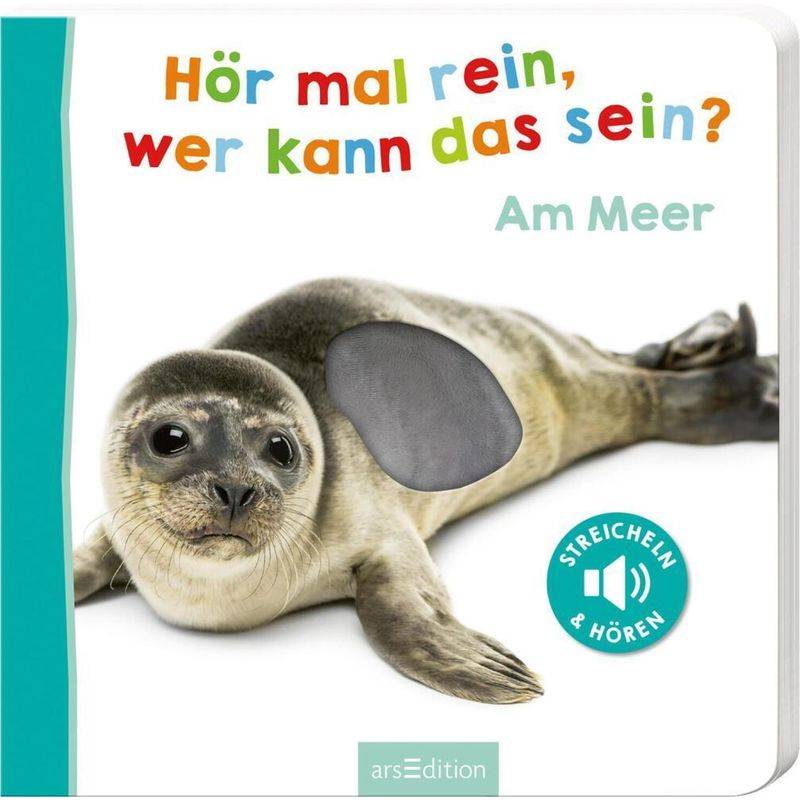 Hör Mal Rein, Wer Kann Das Sein? - Am Meer, Pappband von ars edition