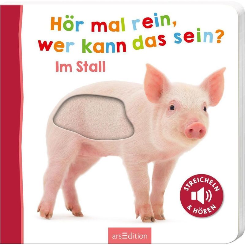 Hör Mal Rein, Wer Kann Das Sein? - Im Stall, Pappband von ars edition