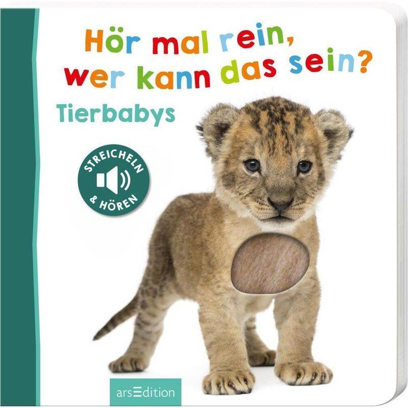 Hör Mal Rein, Wer Kann Das Sein? - Tierbabys, Pappband von ars edition