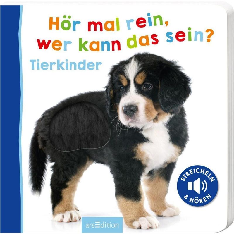 Hör Mal Rein, Wer Kann Das Sein? - Tierkinder, Pappband von ars edition