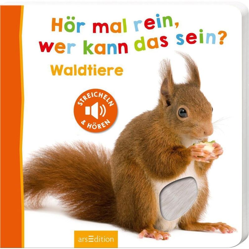 Hör Mal Rein, Wer Kann Das Sein? - Waldtiere, Pappband von ars edition
