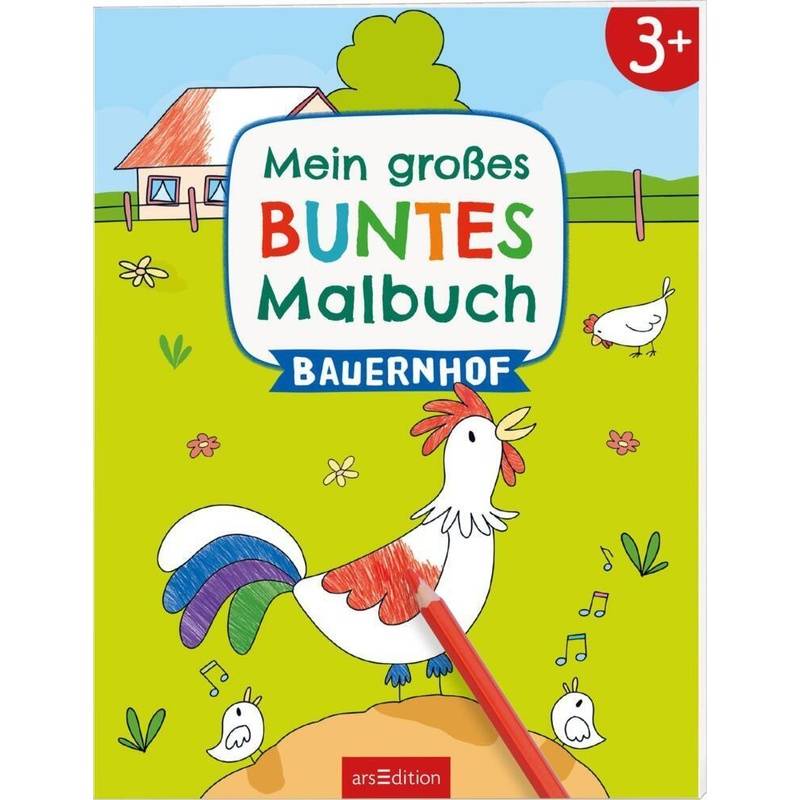 Mein Großes Buntes Malbuch - Bauernhof, Kartoniert (TB) von ars edition
