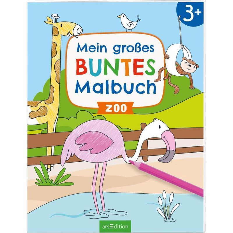 Mein Großes Buntes Malbuch - Zoo, Kartoniert (TB) von ars edition