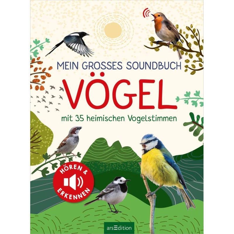 Mein großes Soundbuch Vögel - Eva Wagner, Pappband von ars edition