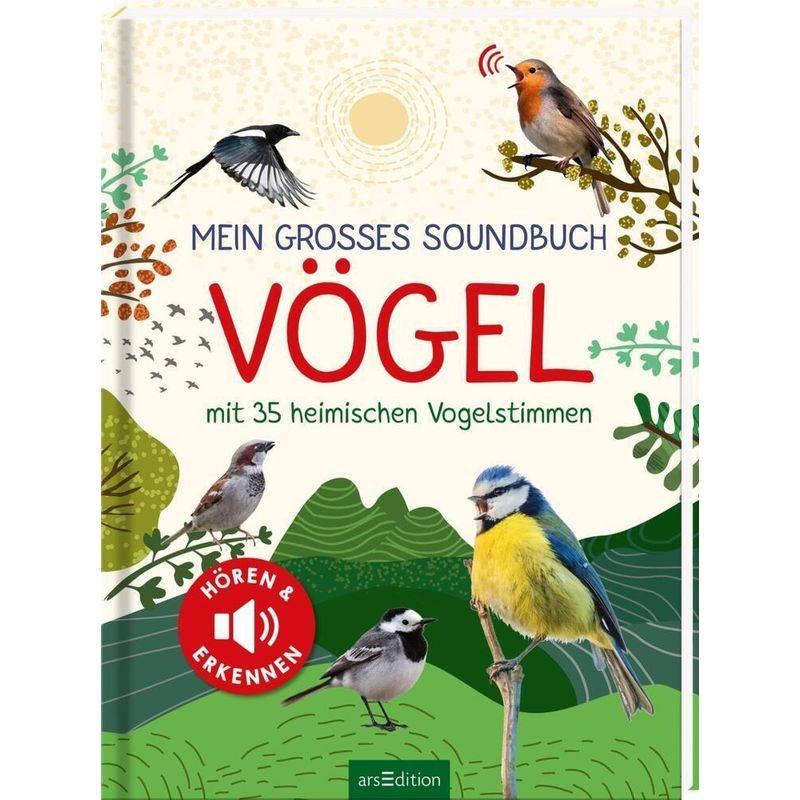 Mein Großes Soundbuch Vögel - Eva Wagner, Pappband von ars edition