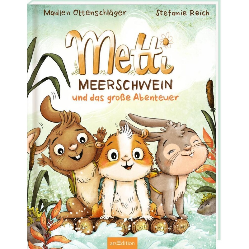 Metti Meerschwein Und Das Große Abenteuer - Madlen Ottenschläger, Gebunden von ars edition