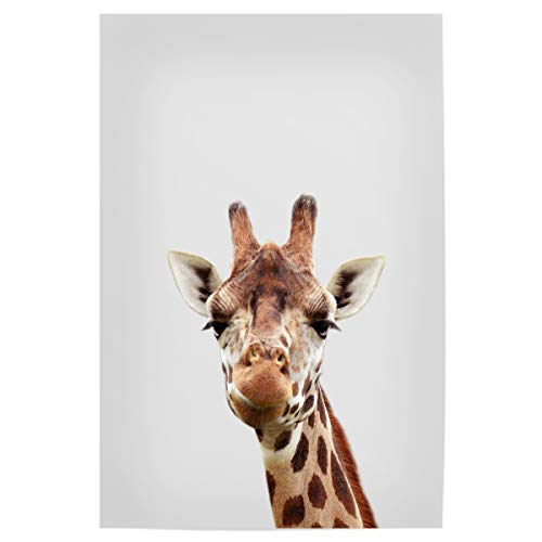 artboxONE Poster 30x20 cm Für Kinder Giraffe - African Animal - Bild Giraffe von artboxONE