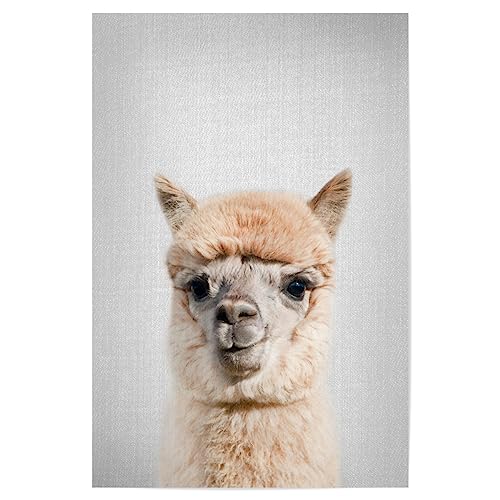 artboxONE Poster 30x20 cm Lama & Alpaka Für Kinder Alpaca - Colorful - Bild Animal African Alpaca von artboxONE