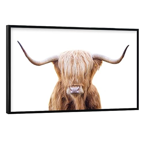 artboxONE Poster mit schwarzem Rahmen 30x20 cm Natur Junge Highlander-Kuh - Bild Junge Highlander-Kuh von artboxONE