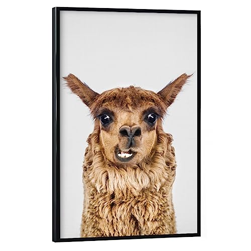 artboxONE Poster mit schwarzem Rahmen 45x30 cm Lama & Alpaka Tiere Happy Llama - Bild Llama Llama Portrait von artboxONE