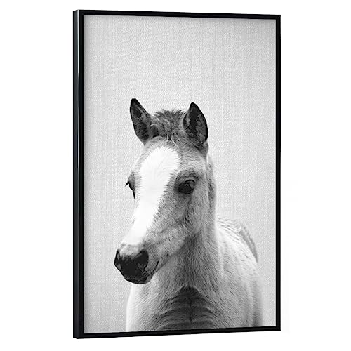 artboxONE Poster mit schwarzem Rahmen 45x30 cm Pferde Natur Baby Horse - Black & White - Bild Animal Animals Baby artboxONE Poster mit schwarzem Rahmen 45x30 cm Pferde Natur Baby Horse - Black & White - Bild Animal Animals Baby von artboxONE
