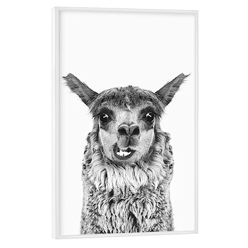 artboxONE Poster mit weißem Rahmen 30x20 cm Lama & Alpaka Tiere Funny Llama - Bild Llama Funny Llama von artboxONE