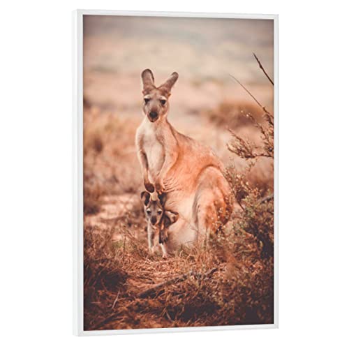 artboxONE Poster mit weißem Rahmen 45x30 cm Natur Kängurumama - Bild känguru australien Baby von artboxONE