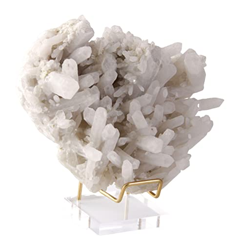 astound Acryl Ausstellungs Ständer Mit Messingarm Für Mineralien Felsen, Staffelei Halter Für Fossile Korallengeoden Achat Kleine Sammlerstücke astound Acryl Ausstellungs Ständer Mit Messingarm Für Mineralien Felsen, Staffelei Halter Für Fossile Korallengeoden Achat Kleine Sammlerstücke von ASTOUND BEAUTY