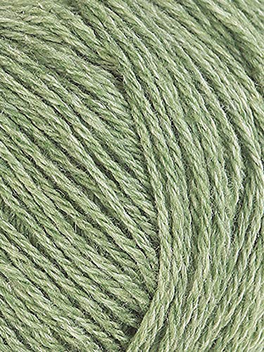 austermann Merino Cotton Organic 12 grün von austermann