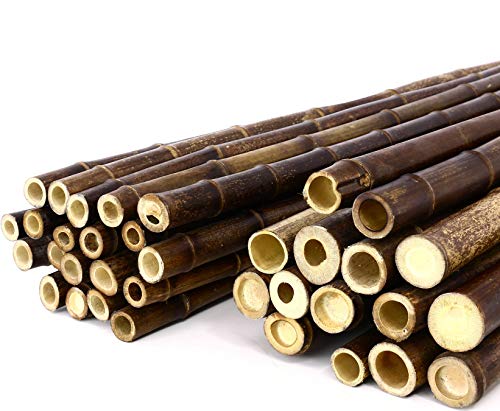 Bambus braun schwarz 200cm mit Rohr Durch. 4 bis 4,5cm naturbelassen von bambussi.com Bambus braun schwarz 200cm mit Rohr Durch. 4 bis 4,5cm naturbelassen von bambussi.com von bambussi