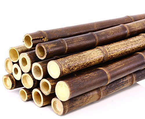 Bambusrohr 200cm schwarz braun mit 3 bis 3,5cm naturbelassen von bambussi.com Bambusrohr 200cm schwarz braun mit 3 bis 3,5cm naturbelassen von bambussi.com von bambussi