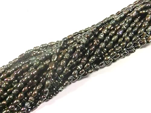 1 Strang SÜßWASSERPERLEN oval barock ~ 4,5-7x3-4mm irisierend anthrazit Perlen Zuchtperlen lüster peacock zum auffädeln #1 von beadsvision