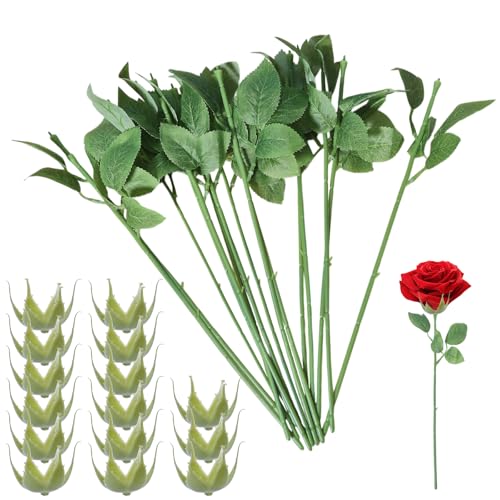 beinkmake Blumendrahtstiele mit Blättern, 25 künstliche Blütenkelche, künstliche Rosenstiele, Kunststoffblumen, Sepal, Basteln, Blumenstrauß, Hochzeit, Blumenarrangement, Werkzeuge, 25 Stück beinkmake Blumendrahtstiele mit Blättern, 25 künstliche Blütenkelche, künstliche Rosenstiele, Kunststoffblumen, Sepal, Basteln, Blumenstrauß, Hochzeit, Blumenarrangement, Werkzeuge, 25 Stück von beinkmake
