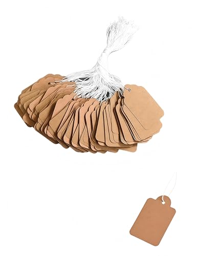 Bepisof 200 Stück Kraft-Preisschilder, beschreibbare Preisetiketten, Markierungsetiketten, Display-Etiketten für Kleidung, Schmuck (2,5 x 1,5 cm) von bepisof