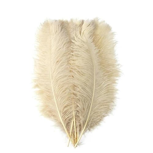 1 Stück mehrere Größen, flauschige Straußenfedern, natürliche farbige Federn für Party, Hochzeit, Bastelzubehör, Khaki, 65–70 cm 1 Stück mehrere Größen, flauschige Straußenfedern, natürliche farbige Federn für Party, Hochzeit, Bastelzubehör, Khaki, 65–70 cm von birnn