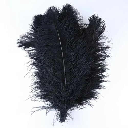 1 Stück mehrere Größen, flauschige Straußenfedern, natürliche farbige Federn für Party, Hochzeit, Bastelzubehör, Schwarz, 55–60 cm 1 Stück mehrere Größen, flauschige Straußenfedern, natürliche farbige Federn für Party, Hochzeit, Bastelzubehör, Schwarz, 55–60 cm von birnn