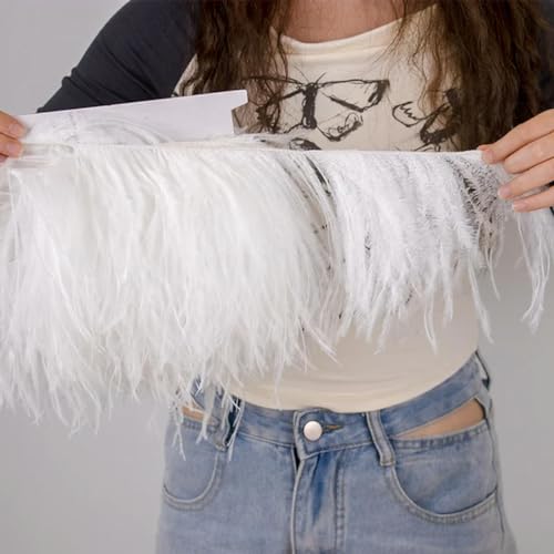 Meter flauschige Straußenfedern, Fransen, 8–10 cm, Federn für Kleider, Nähen, natürliche Straußenfedern, Dekoration, Basteln, Weiß, 1-lagig, 8–10 cm Meter flauschige Straußenfedern, Fransen, 8–10 cm, Federn für Kleider, Nähen, natürliche Straußenfedern, Dekoration, Basteln, Weiß, 1-lagig, 8–10 cm von birnn