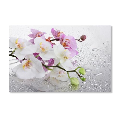 blobo Orchidee,Diy 5D Diamant Malen nach Zahlen Einzigartige Kits Heimwanddekoration Kristall Strass Wanddekoration Kreuzstich（30x40cm）-D87 von blobo