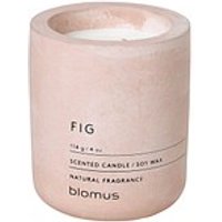 blomus Duftkerze FIG rosa Feigenbäume von blomus