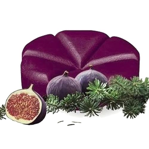 110er Pack Bolsius CREATIONS Schmelzblüten Duftblüten Aromatic Duftwachs Wax Melts (Feige-Kiefer - 53) von bolsius