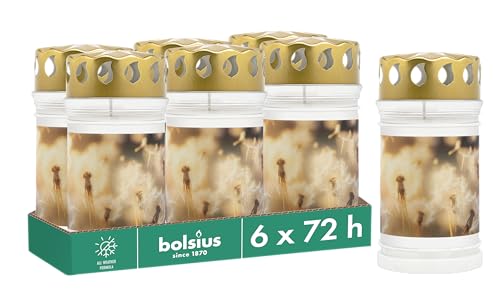Bolsius Grablicht - mit Motiv - Löwenzahn - Set 6 Stück - Länge Brenndauer 3 Tage - Trauerkerze & Gedenkstätte Kerzen - Sauberes Abbrennen - Ohne Palmöl Bolsius Grablicht - mit Motiv - Löwenzahn - Set 6 Stück - Länge Brenndauer 3 Tage - Trauerkerze & Gedenkstätte Kerzen - Sauberes Abbrennen - Ohne Palmöl von bolsius