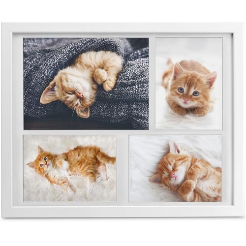 bomoe 1x Bilderrahmen 10x15 cm & 15x21 cm Weiß – Fotorahmen Collage Holz für 4 Fotos, Kunststoffglas, Metall-Aufhängung & Passepartout Multirahmen für Bilderrahmen Set – Picture Photo Frame Galeria bomoe 1x Bilderrahmen 10x15 cm & 15x21 cm Weiß – Fotorahmen Collage Holz für 4 Fotos, Kunststoffglas, Metall-Aufhängung & Passepartout Multirahmen für Bilderrahmen Set – Picture Photo Frame Galeria von bomoe