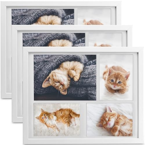 bomoe 3x Bilderrahmen 10x15 cm & 15x21 cm Weiß – Fotorahmen Collage Holz für 4 Fotos, Kunststoffglas, Metall-Aufhängung & Passepartout Multirahmen für Bilderrahmen Set – Picture Photo Frame Galeria bomoe 3x Bilderrahmen 10x15 cm & 15x21 cm Weiß – Fotorahmen Collage Holz für 4 Fotos, Kunststoffglas, Metall-Aufhängung & Passepartout Multirahmen für Bilderrahmen Set – Picture Photo Frame Galeria von bomoe