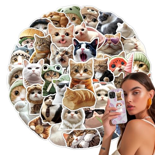 Katzen-Meme-Aufkleber – Katzen-Meme-Aufkleber, Dekoration, Aufkleber, ästhetische Aufkleber für Wasserflaschen, Laptops, Handy, Gepäck, Gitarre, Schreibwaren von brooksnaji