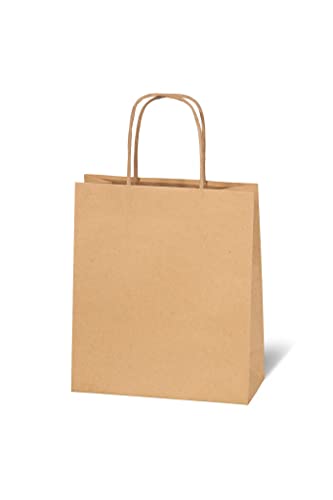 bsb Geschenktasche Geschenktüte Papiertüte Papiertasche aus braunem Kraftpapier (groß), 684010 von bsb