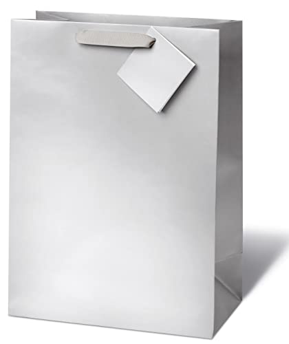 bsb Geschenktasche Geschenktüte Papiertüte Papiertasche neutrales Design in matt-silber A4-Format von bsb