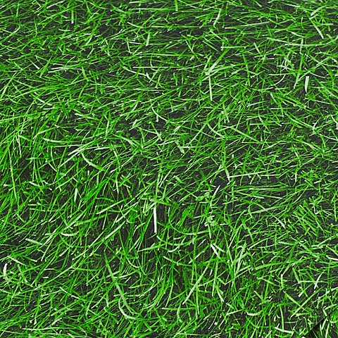 Baumwollstoff-Digitaldruck "Gras", Serie Ria Baumwollstoff-Digitaldruck "Gras", Serie Ria von buttinette