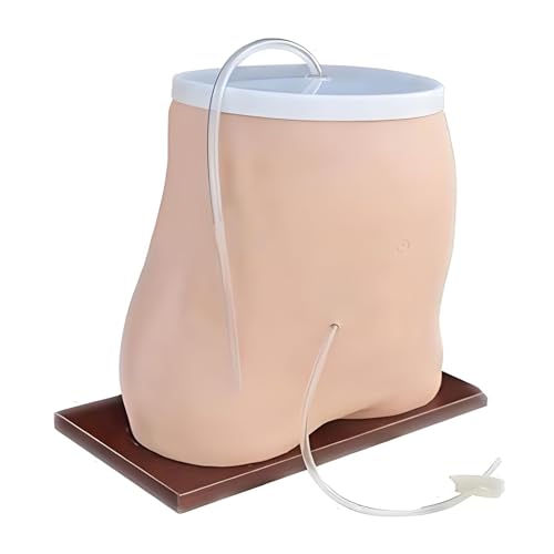 Lehrmodell für die Gliederpuppe, Modell der Peritonealdialyse, Gliederpuppe für den menschlichen Bauch zur Demonstration der medizinischen Ausbildung von buyzg