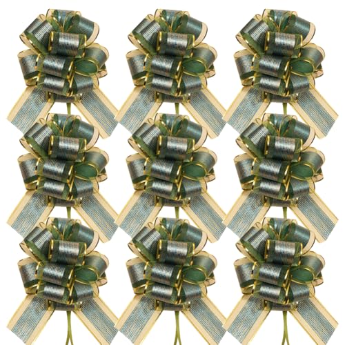 ccHuDE 10 Stück Geschenkpapier-Schleifen, Geschenkschleifen, Geschenkschleifen, Geschenkpapier, große Schleifen, Valentinstag, dekorative Geschenkkörbe, Schleifen, Hochzeit, Party, Grün, 10 Stück ccHuDE 10 Stück Geschenkpapier-Schleifen, Geschenkschleifen, Geschenkschleifen, Geschenkpapier, große Schleifen, Valentinstag, dekorative Geschenkkörbe, Schleifen, Hochzeit, Party, Grün, 10 Stück von ccHuDE