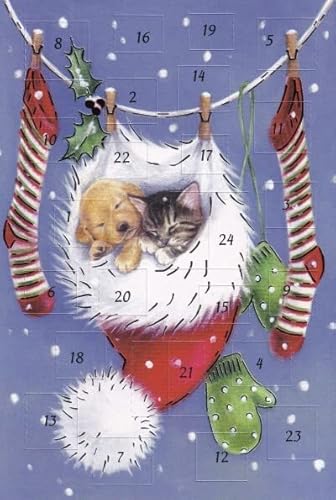 Wunderschöne Adventskalenderkarten Tierkinder 5 Stück Doppelkarte Weihnachten von chemstickattack
