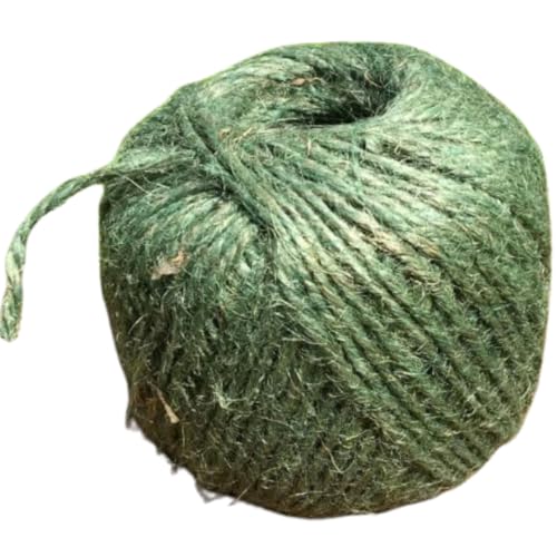 Citystores Grüne Jute-Schnur, 30,5 m, 3-lagig, 2 mm dick, Juteseil für Dekoration, Garten, Floristik, Basteln, Basteln, Verpacken – Grün von citystores