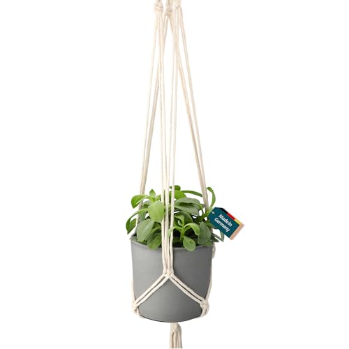Holzringe | 10 Stück | 70 mm | Made in Österreich | aus hochwertigem Buchenholz, DIY, basteln, Makramee, Holzringe, Baby Greiflinge, Beißringe von coco+cozy LIVING