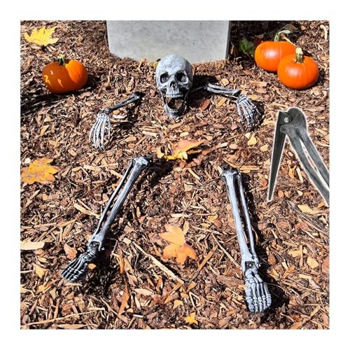 com-four® 5-teiliges Knochenset - Premium Halloween Dekoration - menschliches Teil-Skelett mit Erdanker - künstliche Knochen als Friedhofs-Deko für den Garten (5-teiliges Knochen-Set) von com-four