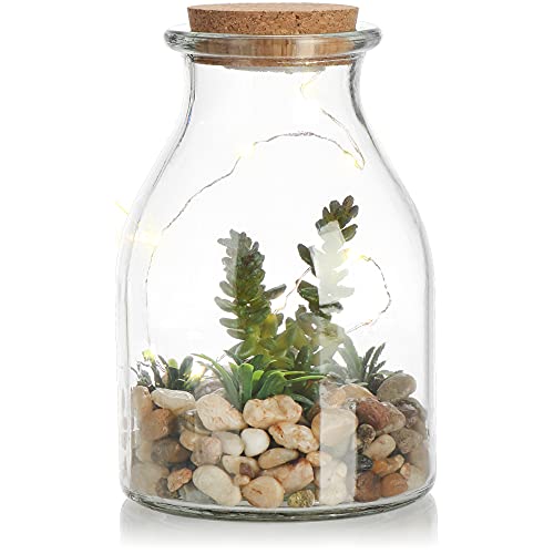 com-four® Kunstpflanze im Glas mit LED-Beleuchtung, stilvolles Stimmungslicht, Ambientelampe mit Kunstblumen, Steinen und 10 LED-Lampen (1 Stück - Crassula) von com-four